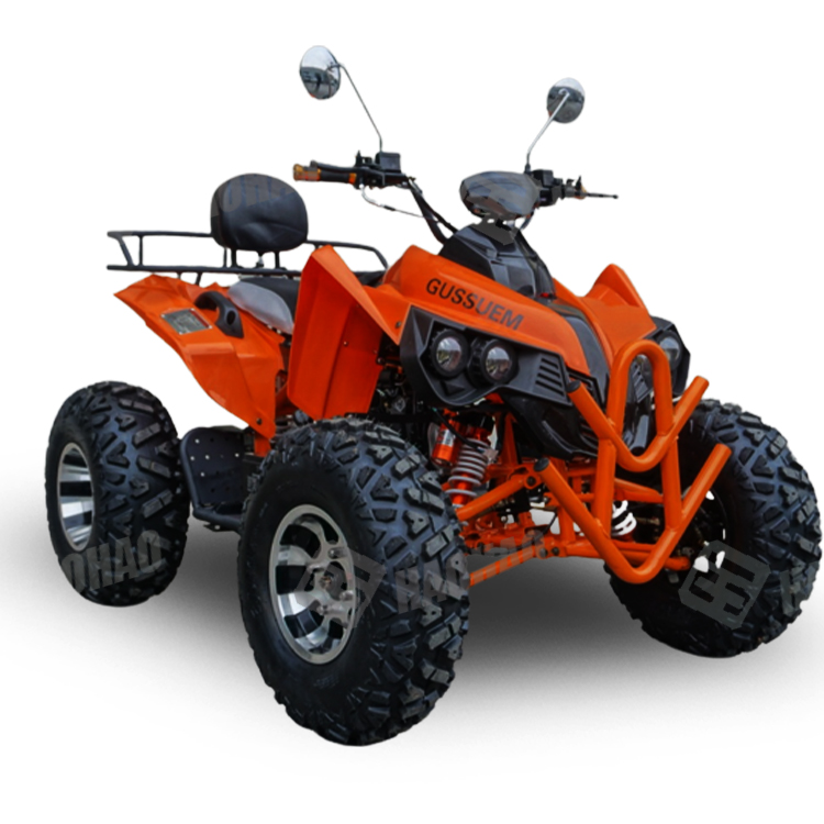 Atv 250Cc 4 Stroke - 250cc Gaz ATV Zincir Şanzıman 4