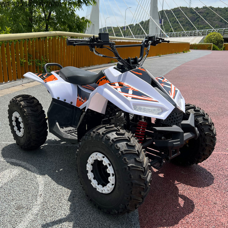 Electric Utv 4 Seater - Yeni Elektrikli ATV 4x4 Çıkarılabilir Akü