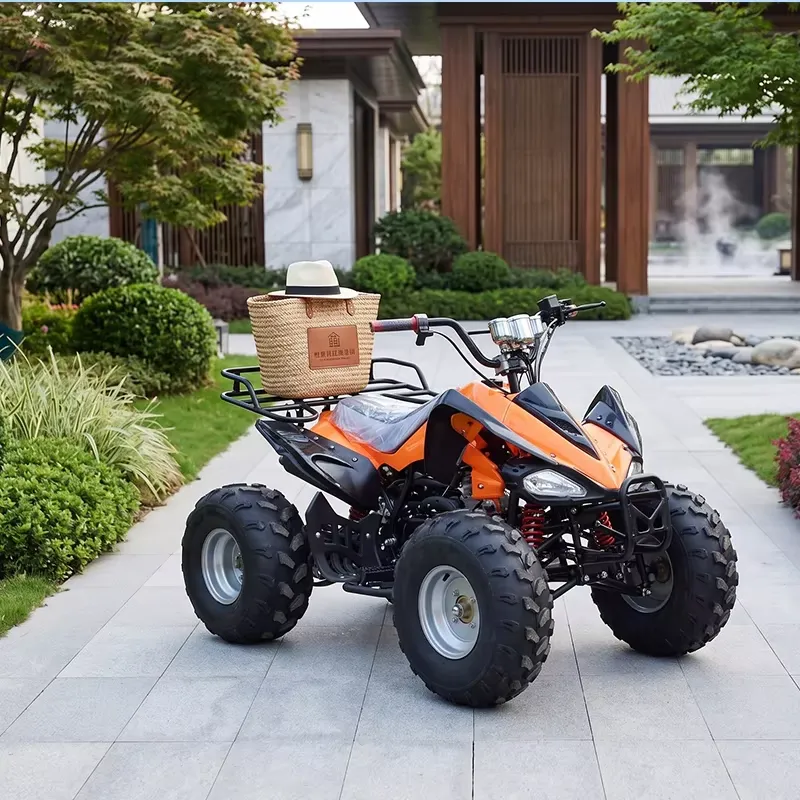 Akıllı Dijital 1200W 60V Elekt - Electric Atv Battery 60V 20Ah incelemesi ve fiyatı